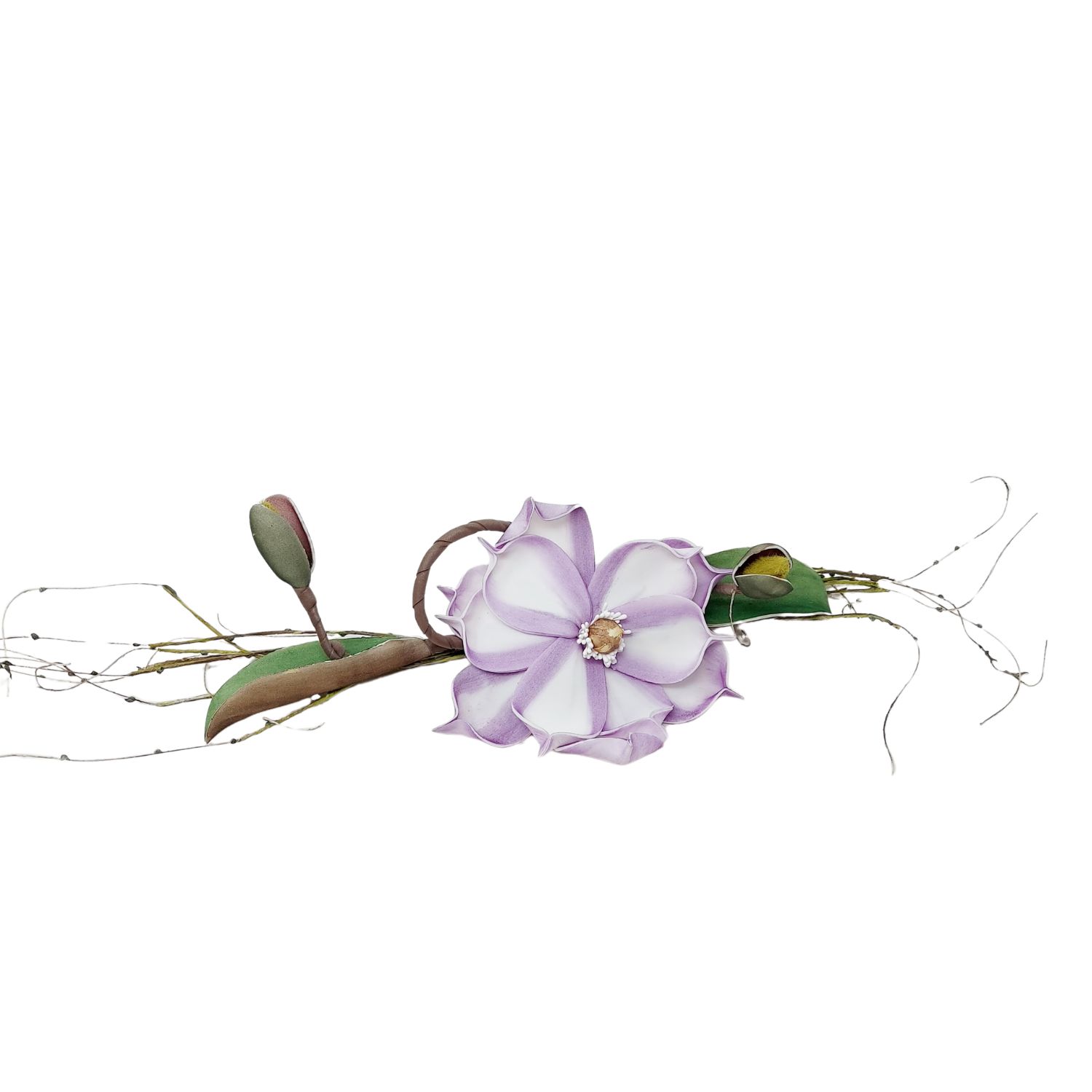 Lila-weiße Blüte mit Knospe und grünen Blättern auf weißem Hintergrund