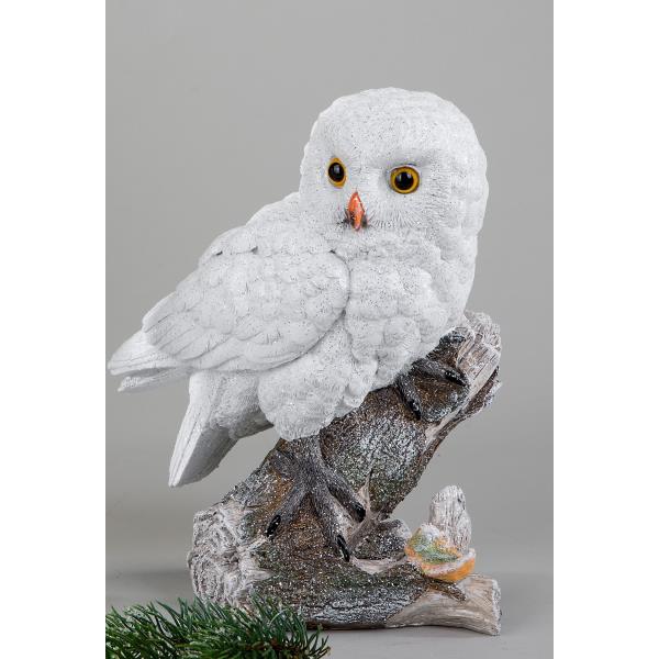 Eine weiße Eule sitzt auf einem Ast. Sie hat große, orange Augen und ein gefiedertes Gefieder. Der H