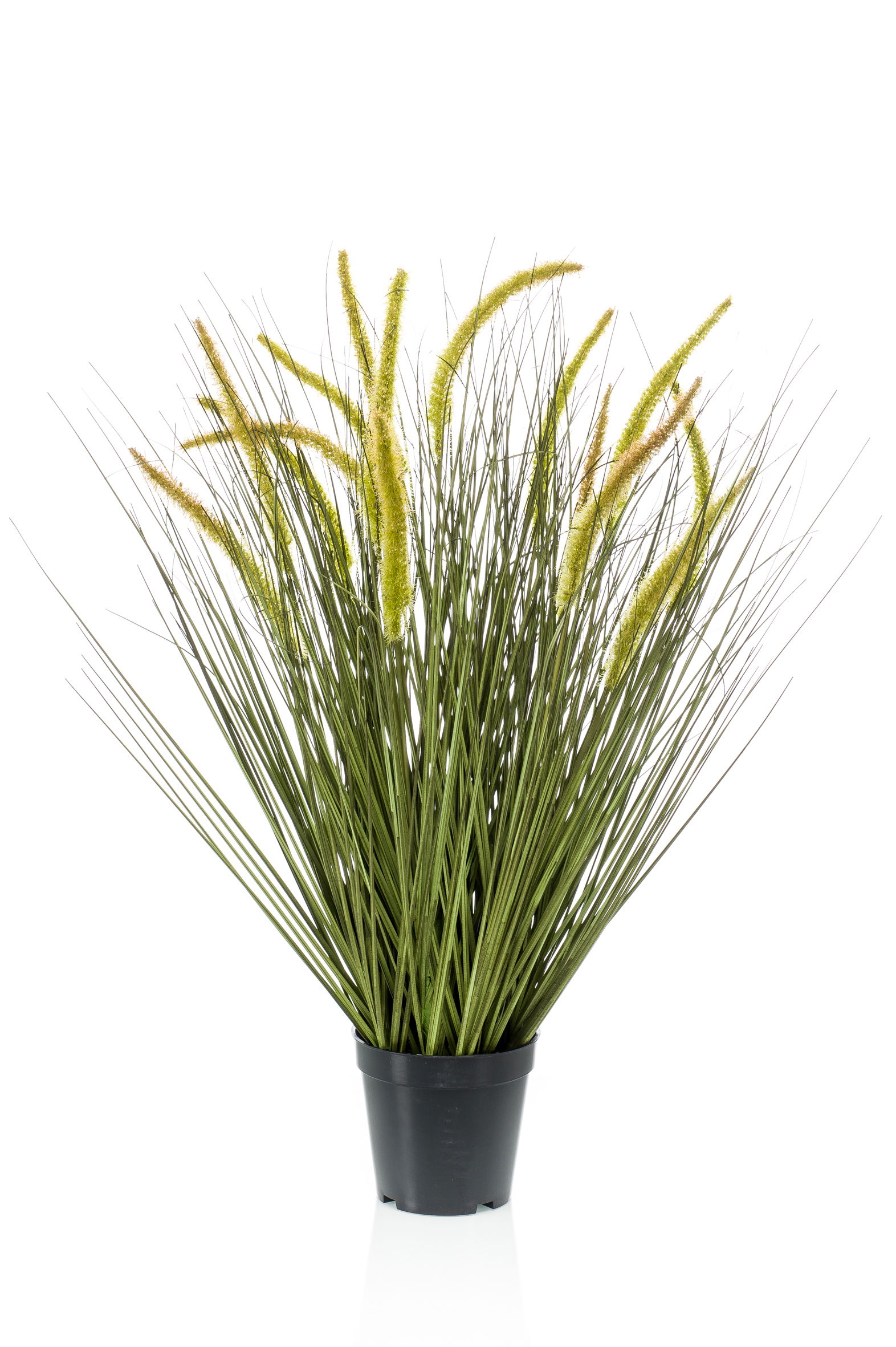 künstliches Gras, Borstenhirse Topfpflanze Höhe 70cm grün von EMERALD Zimmerpflanze