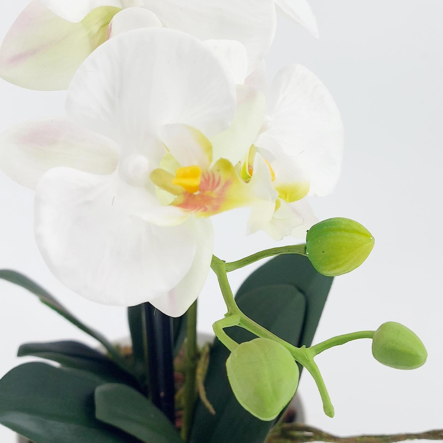 knstliche Orchidee REAL TOUCH wei in Keramiktopf H. 48cm DPI Kunstblumen  | DPI60518-05