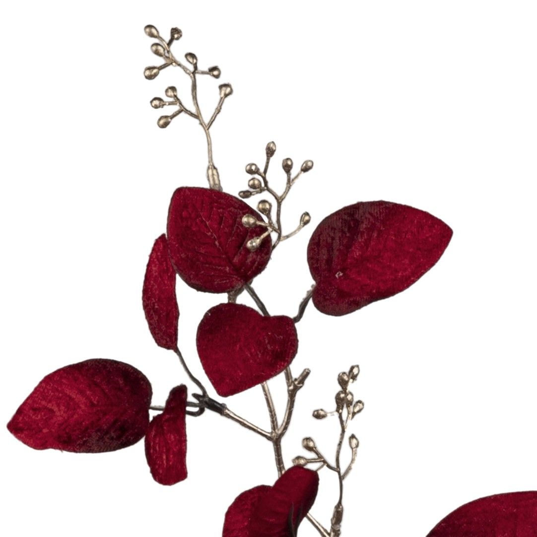 Rote, samtige Blätter und kleine, beige Beeren an einem dünnen, grauen Zweig auf weißem Hintergrund.