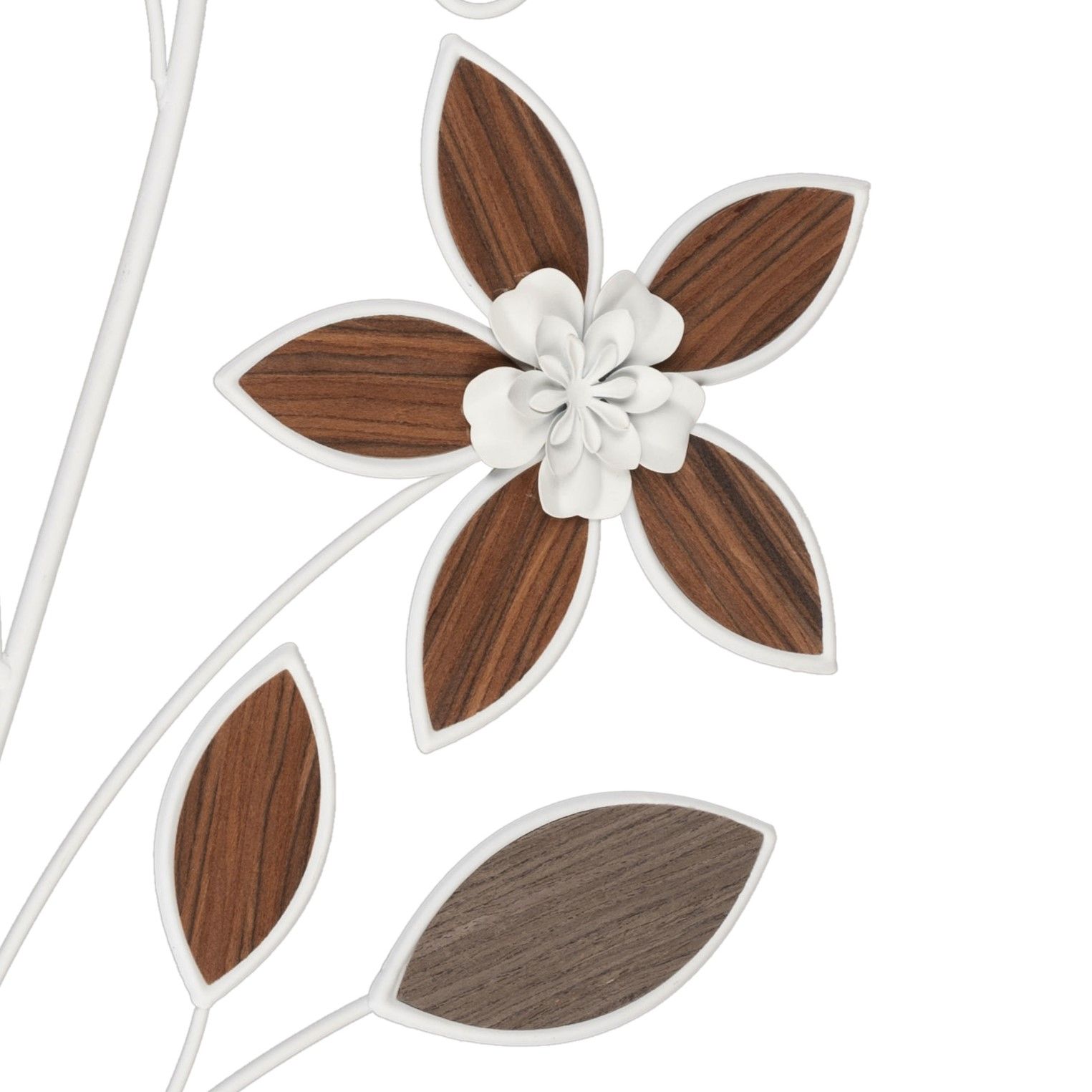 Dekorative Blume mit braunen Blütenblättern und einer weißen Mitte, umgeben von grünen Blättern auf