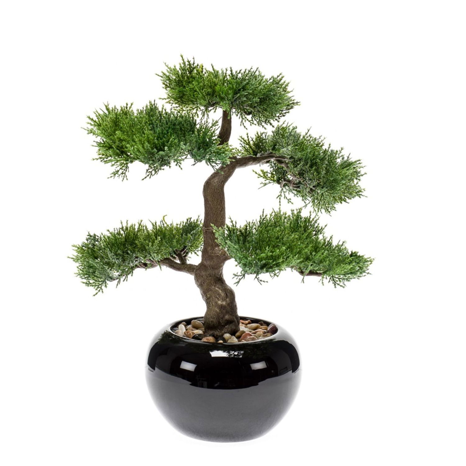Bonsai-Baum mit grünem Laub in einem schwarzen Topf, umgeben von kleinen Steinen.