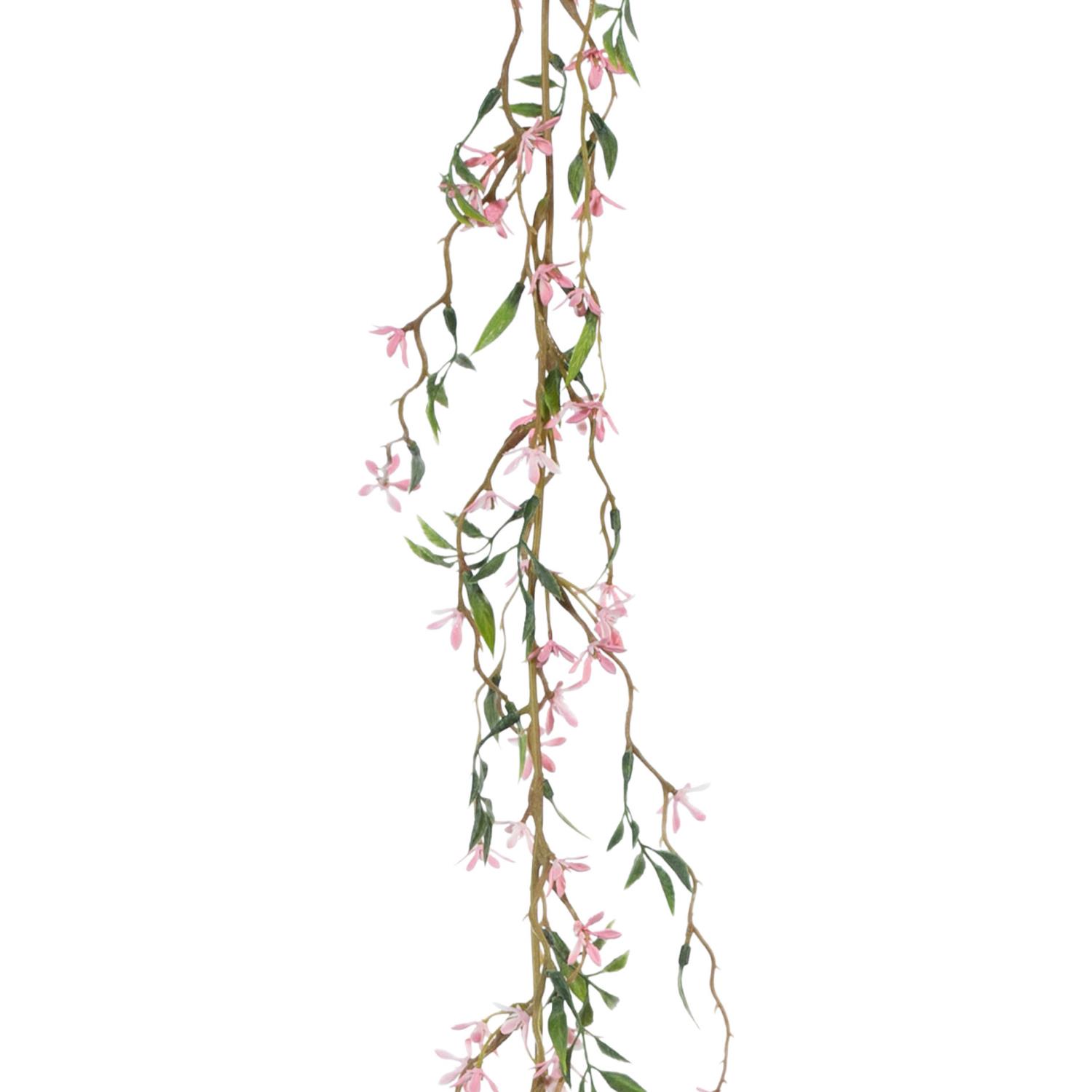 Eine hängende Pflanze mit langen, dünnen Zweigen und kleinen, rosa Blüten sowie grünen Blättern auf einem weißen Hintergrund.