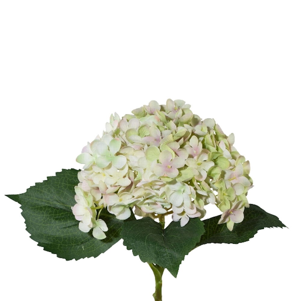 künstliche Hortensie grün rosa Höhe 53cm,Durchmesser ca. 17cm von GASPER Kunstblume