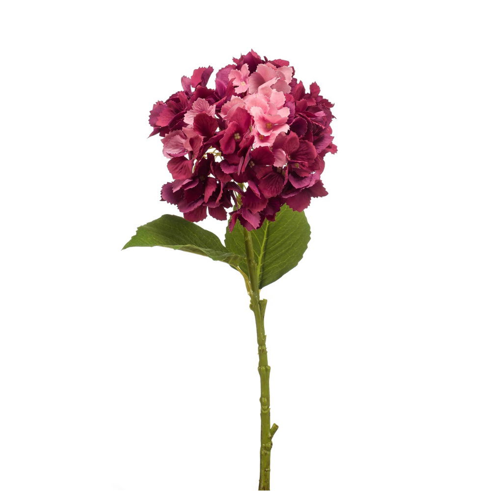 künstliche Hortensie Hydrangea burg und y rot Höhe 52cm von EMERALD Kunstblumen
