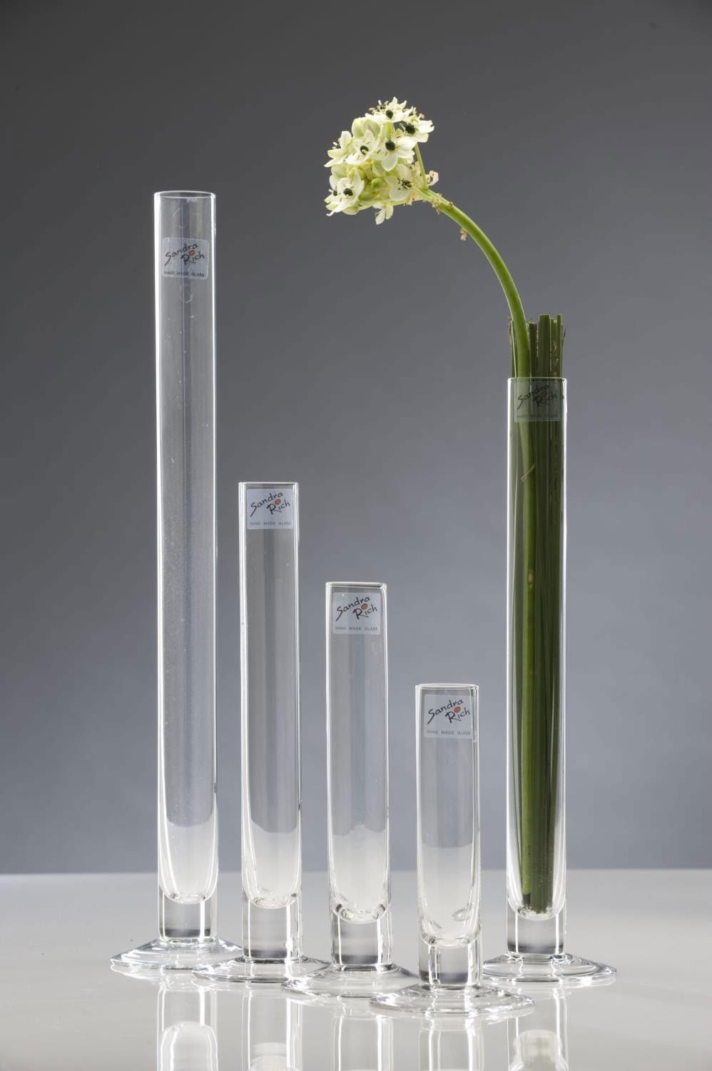 6er SET Reagenzgläser Glasvasen SOLIFLEUR mit Fuss Höhe 20cm,Durchmesser 3cm von SANDRA RICH