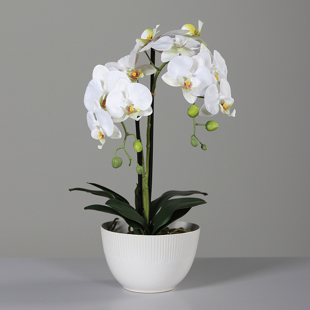 künstliche Orchidee REAL TOUCH weiß in Keramiktopf H. 48cm DPI Kunstblumen WA