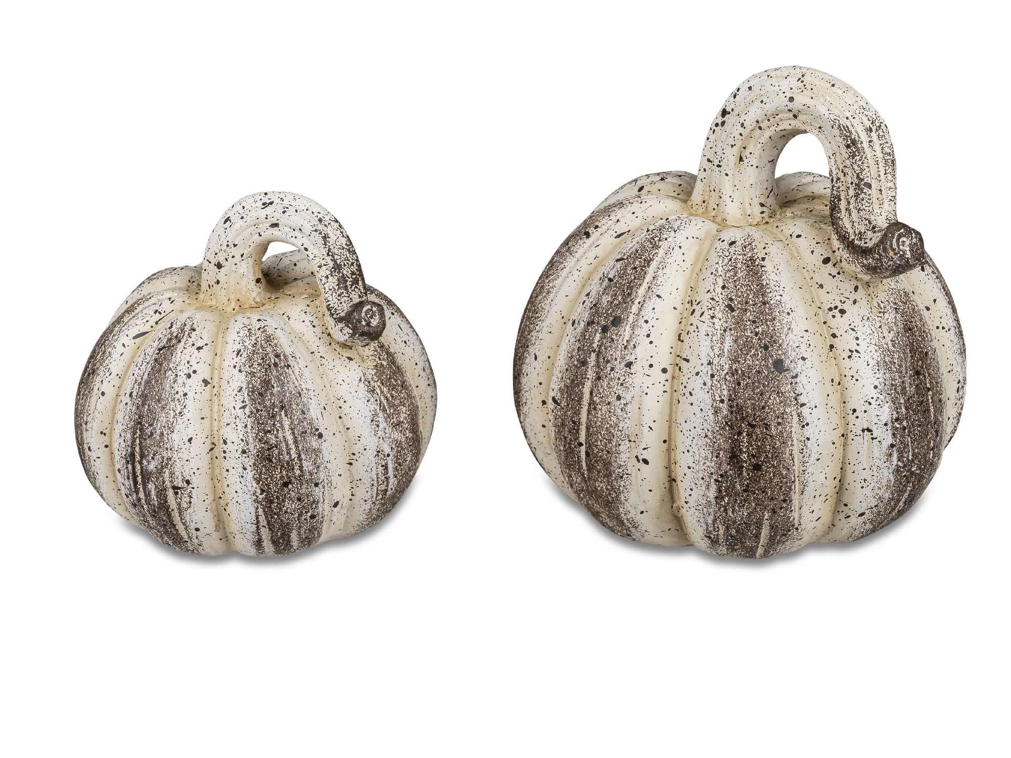 Zwei dekorative Kürbisse in Weiß und Braun, mit einer gestreiften Oberfläche und einem geschwungenen Stiel.