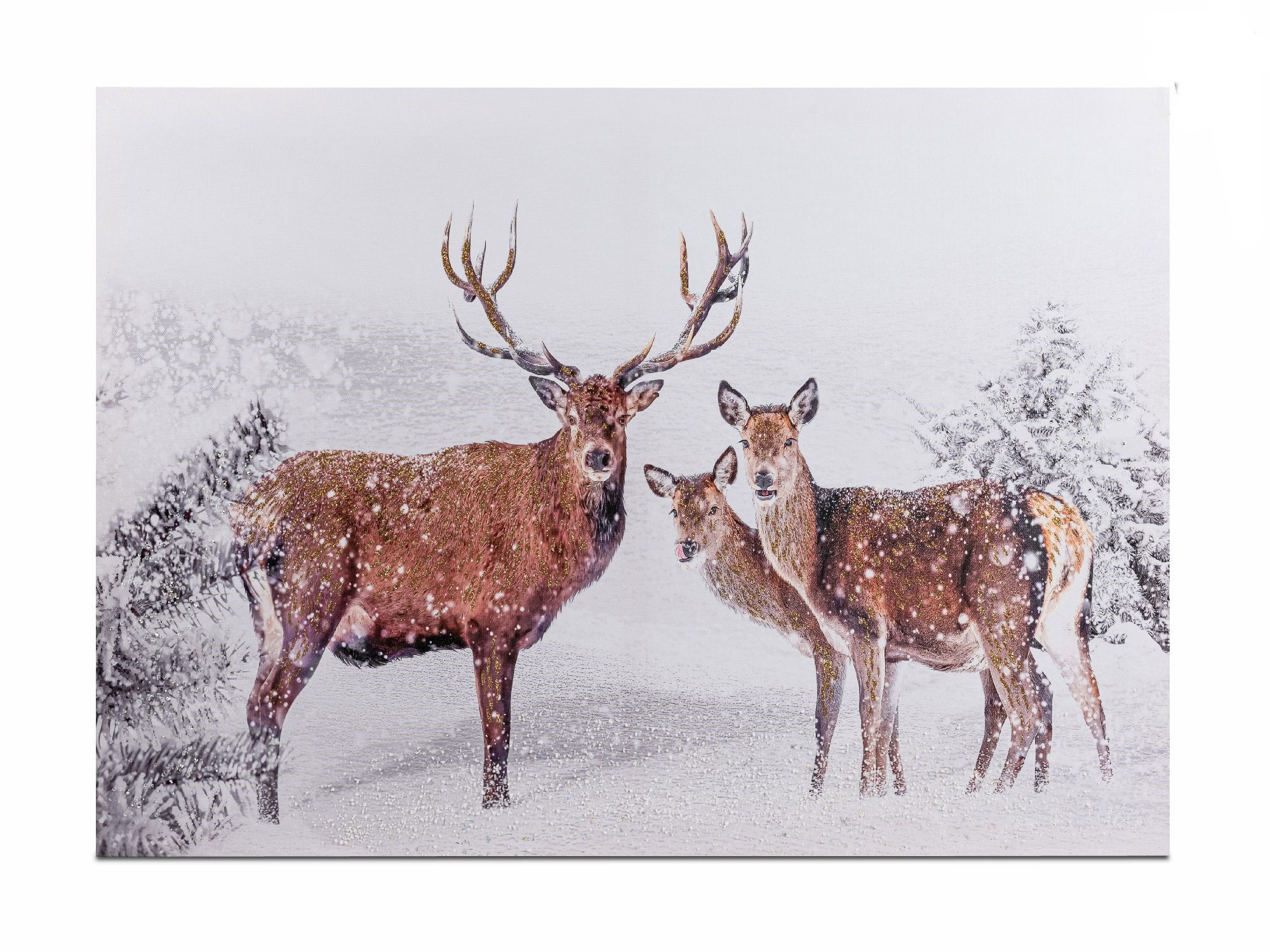 Zwei Rehe stehen im Schnee, umgeben von schneebedeckten Bäumen. Es schneit leicht.