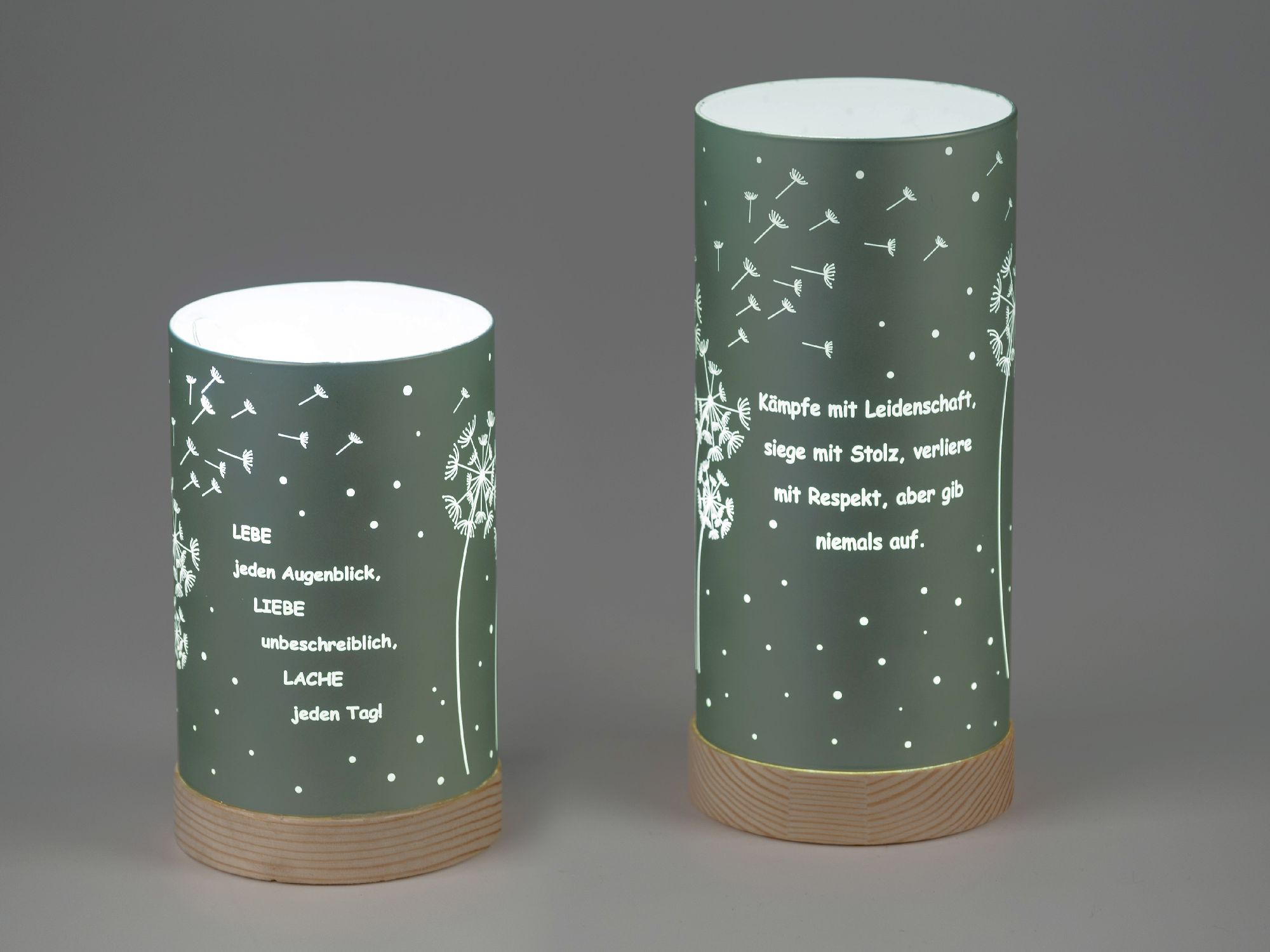 Zwei beleuchtete Lampen mit grüner Oberfläche, verziert mit Pusteblumen und inspirierenden Texten in weißer Schrift.