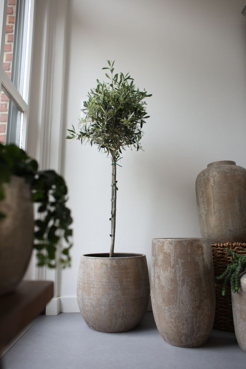 braune Bodenvase mit Pflanze auf Boden stehend