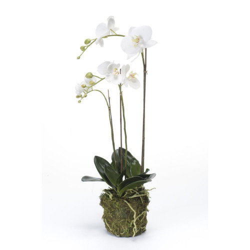 Künstliche Orchideen online bestellen
