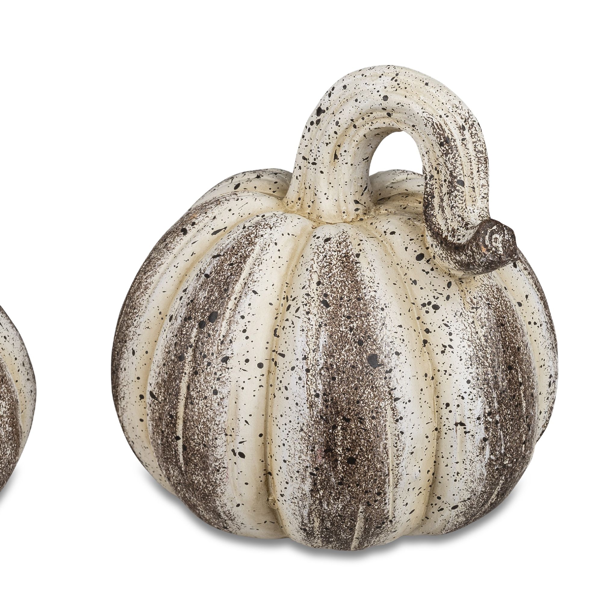 Zwei dekorative Kürbisse in Weiß und Braun mit einer strukturierten Oberfläche und einem geschwungenen Stiel.