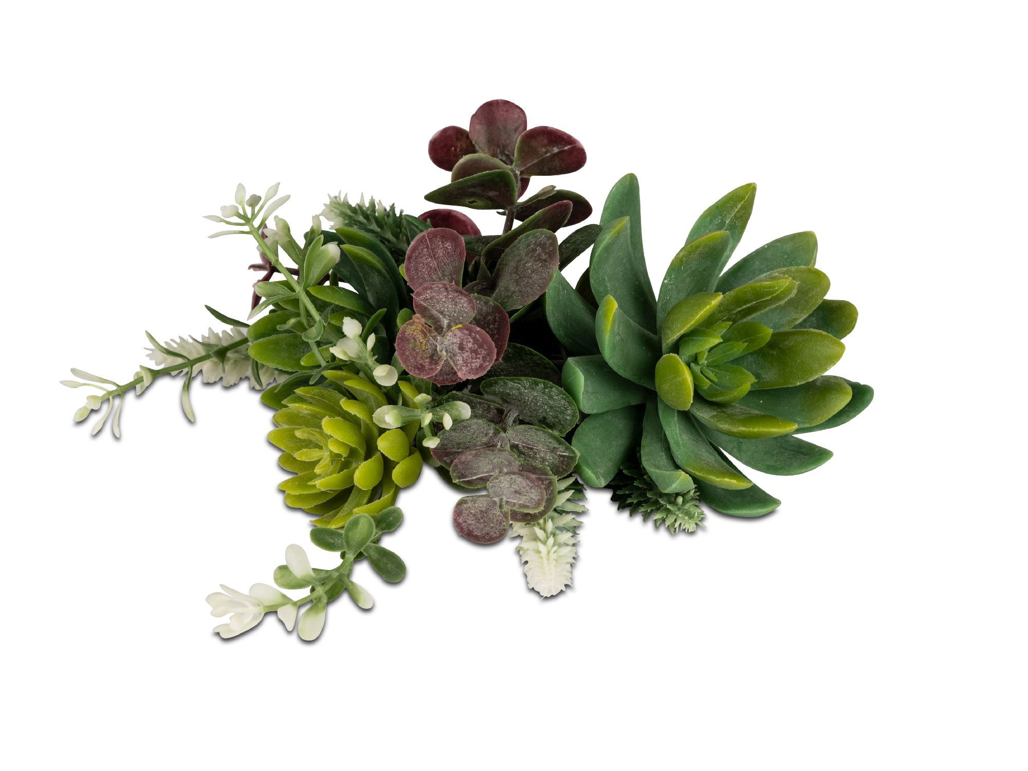 Eine Ansammlung von verschiedenen Sukkulenten in unterschiedlichen Grüntönen und einigen roten Blätt