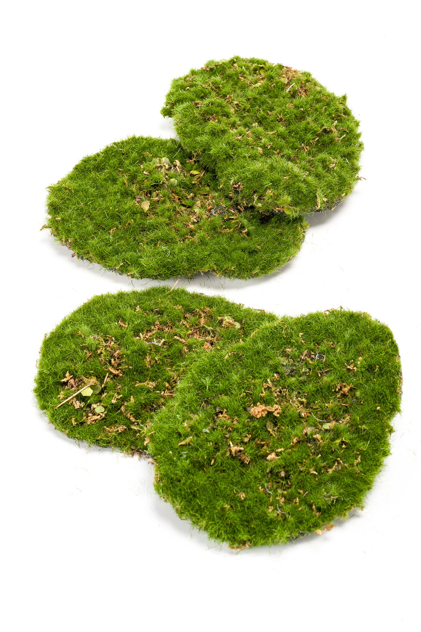 künstliches Moos, Dekomoos, Moos Platten 4 Stück im Beutel 11x14cm grün Emerald