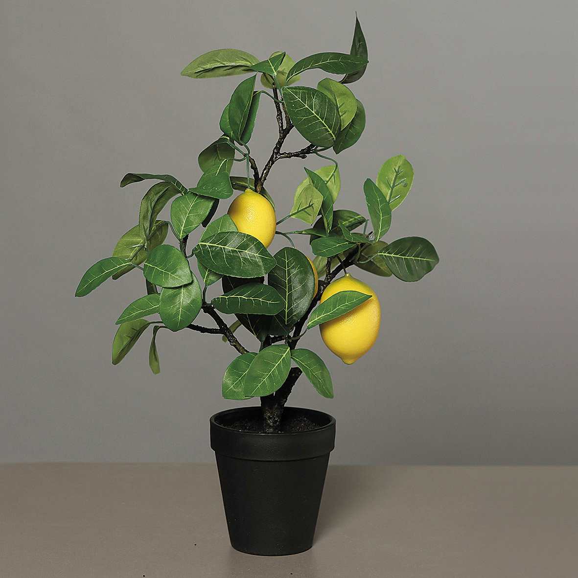 künstlicher Zitronenbaum H. 48cm in schwarzem Kunststofftopf DPI WA