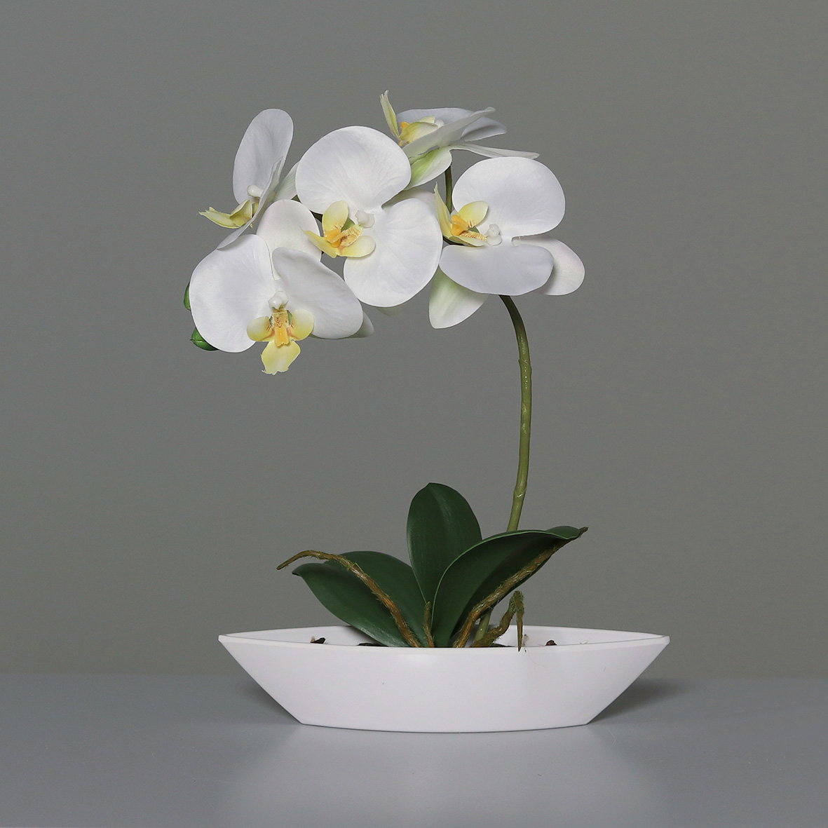 künstliche Orchidee, Phalaenopsis in weißer Schale H. 28cm creme weiß DPI WA