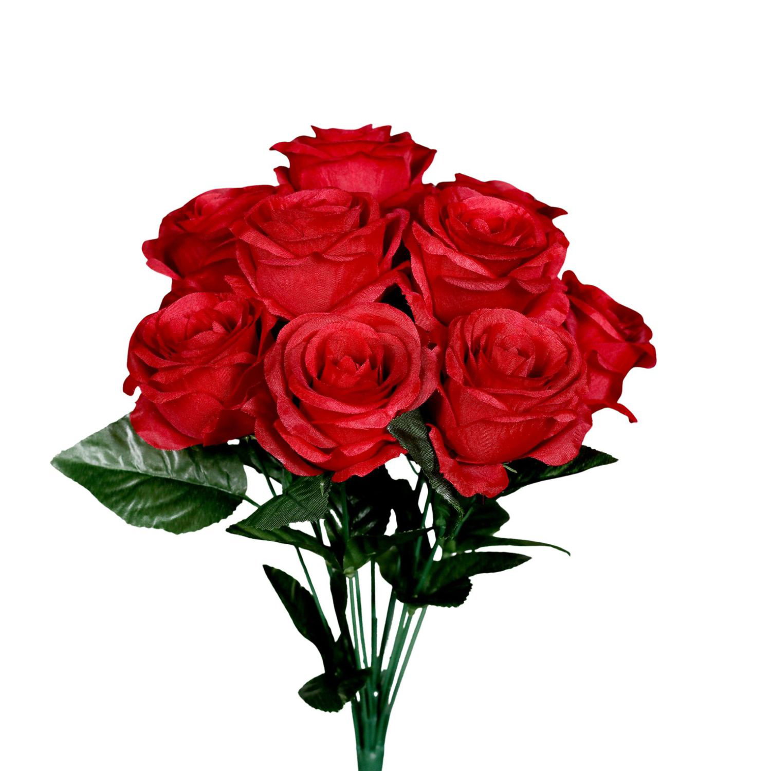 Strauß roter Rosen mit grünen Blättern vor weißem Hintergrund