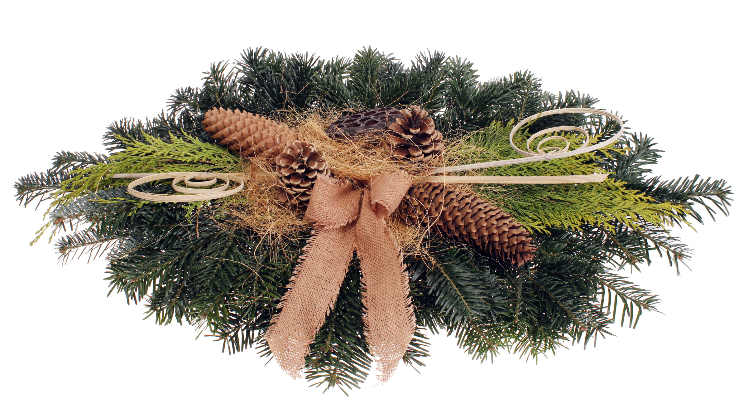 Ein Arrangement aus Tannenzweigen, Zapfen, grünem Blattwerk und einer Schleife aus Jute. Dekorative Spiralen aus Naturmaterialien.