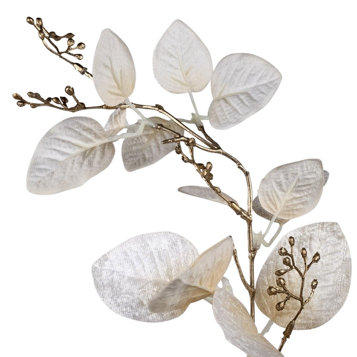 Zweig mit hellen, strukturierten Blättern und goldenen Ästen, die filigrane Knospen tragen. Hintergr