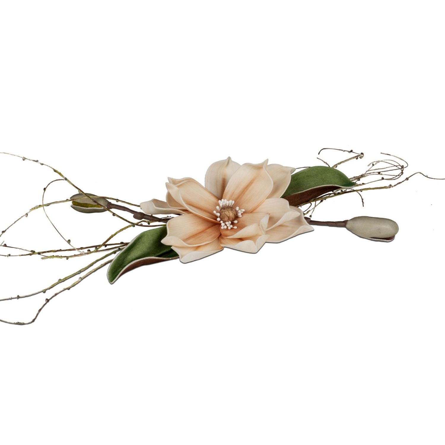 Beige Blüte mit Staubgefäßen, grüne Blätter und dünne Zweige auf weißem Hintergrund