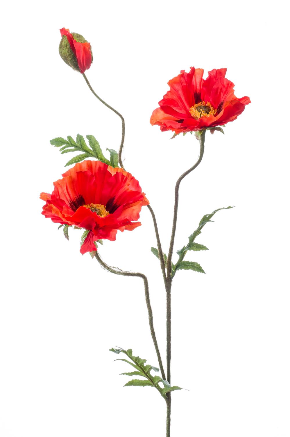 6er Set künstliche Mohnblume mit 2 Blüten orange Höhe 90cm von EMERALD Kunstblumen