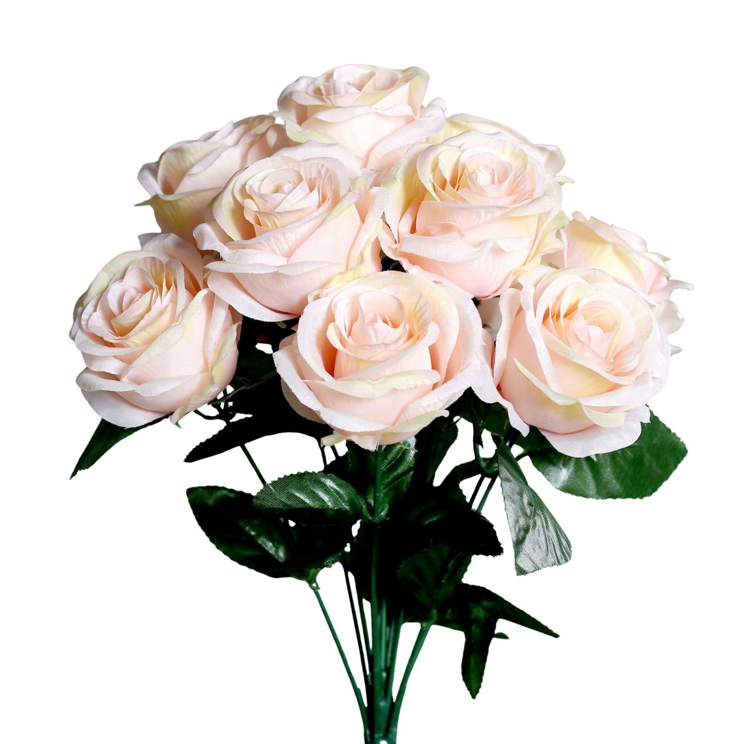 Strauß aus zart rosafarbenen Rosen mit grünen Blättern vor weißem Hintergrund
