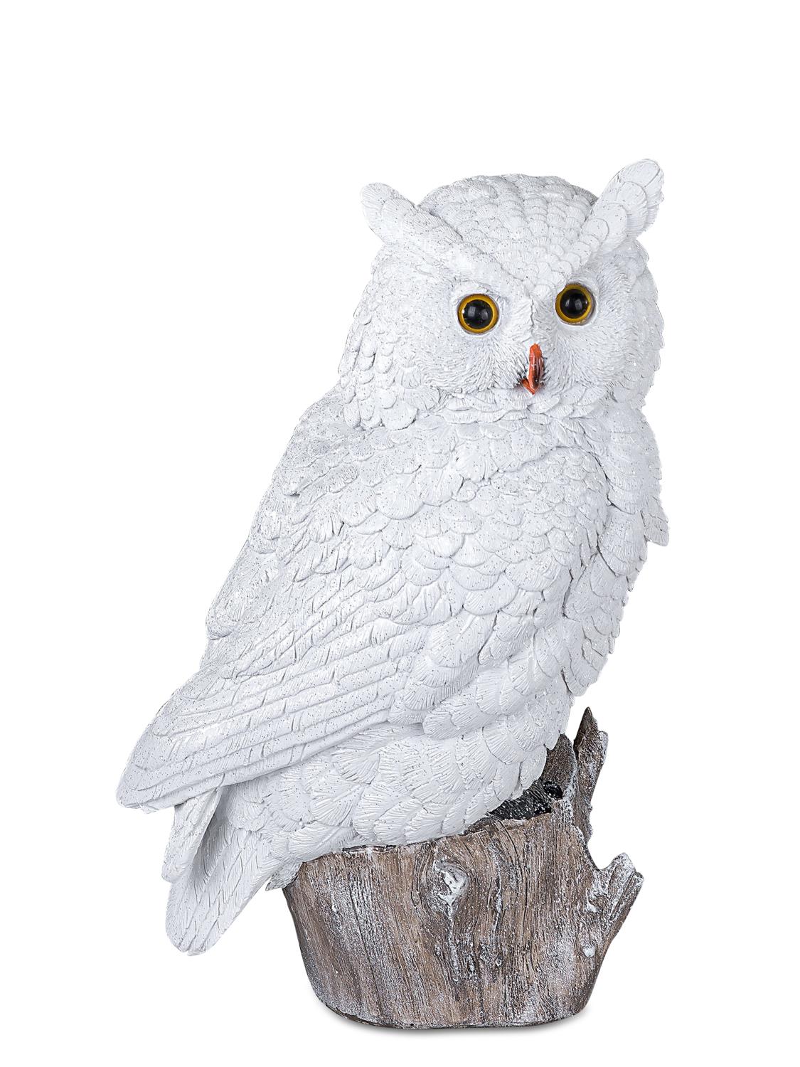 Eine weiße Eule sitzt auf einem Holzstamm. Sie hat große, runde Augen und ein detailliertes Federkle