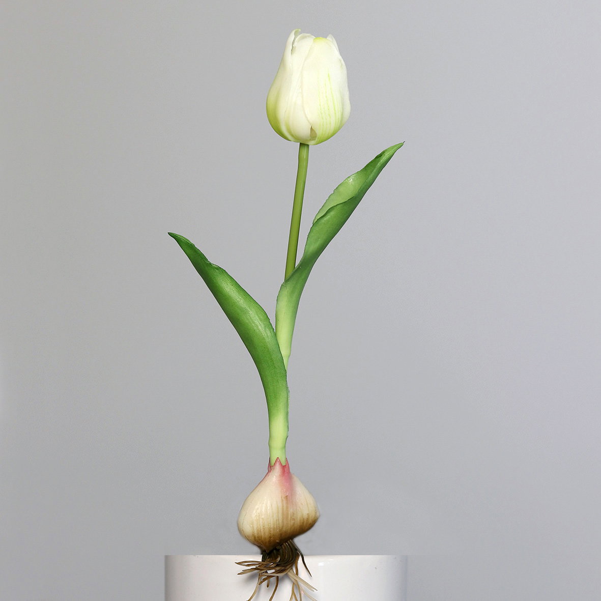 künstliche Tulpe mit Zwiebel weiß grün H. 25cm DPI