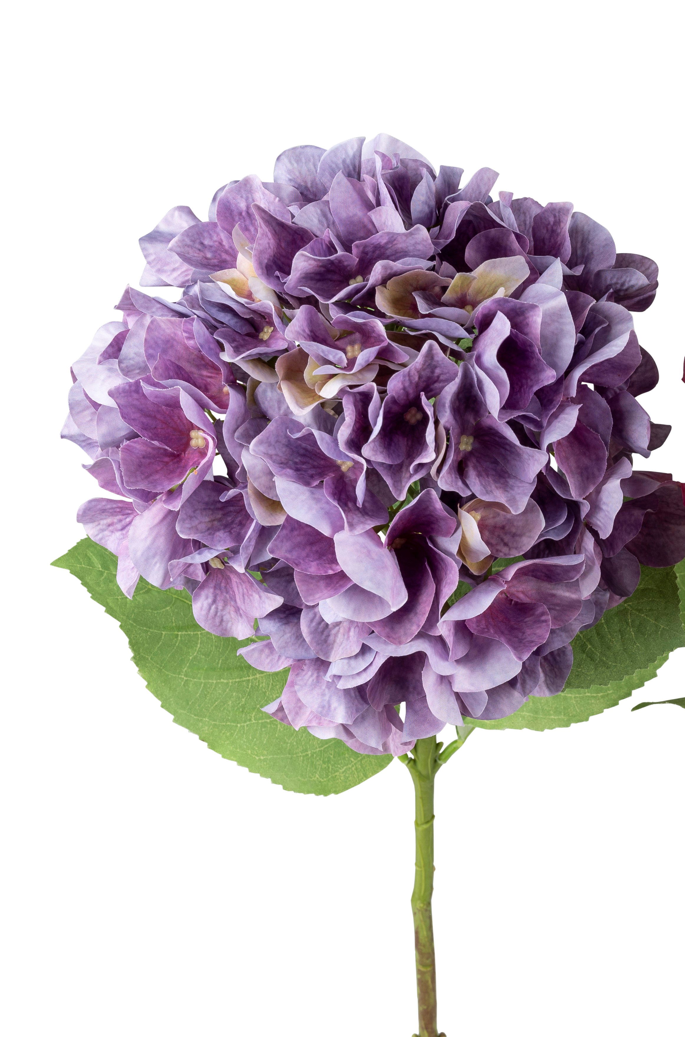 künstliche Hortensie mit großer Blüte lila violett Höhe 72cm, von Formano Kunstblumen
