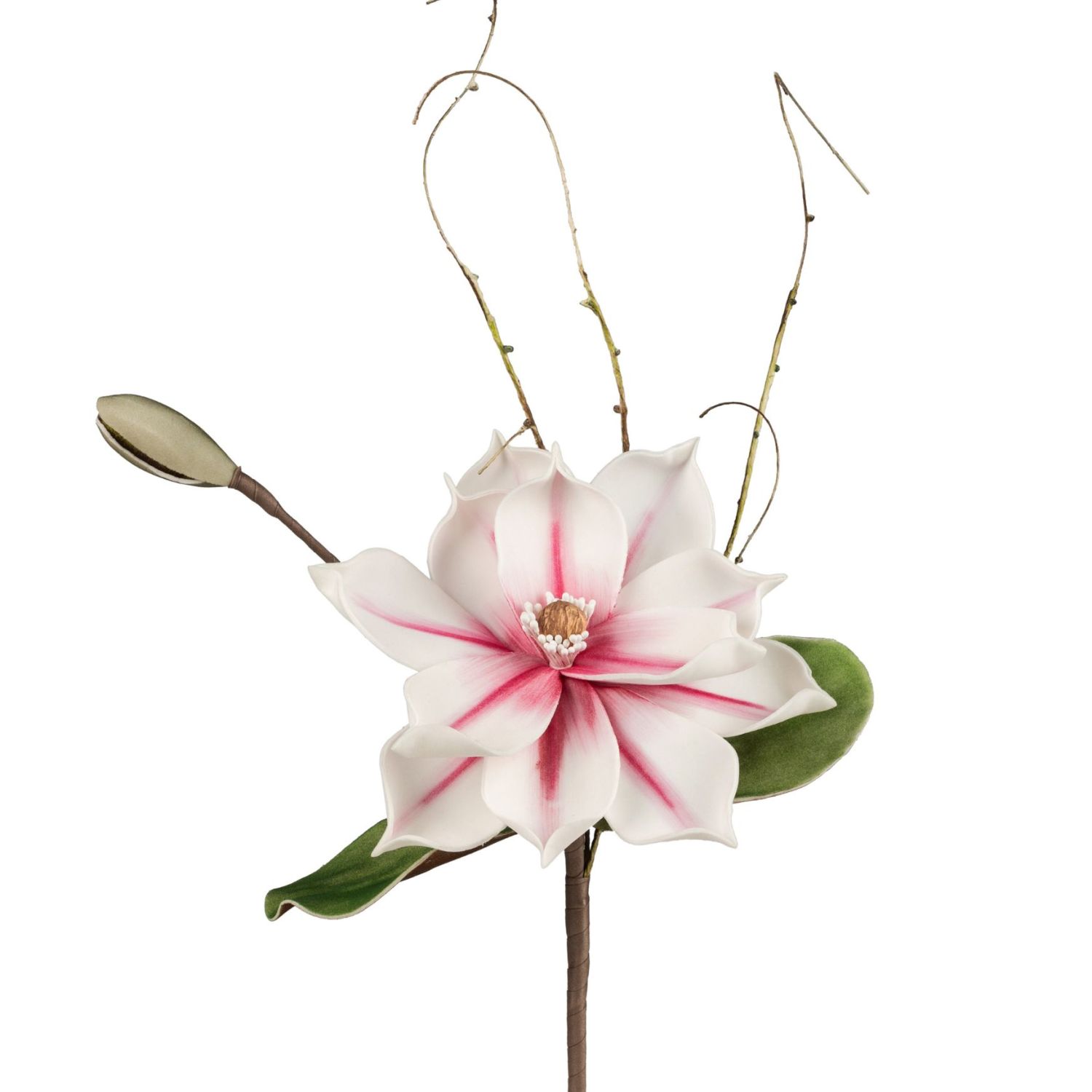Weiße Blüte mit rosa Streifen, Knospe und grünen Blättern vor weißem Hintergrund