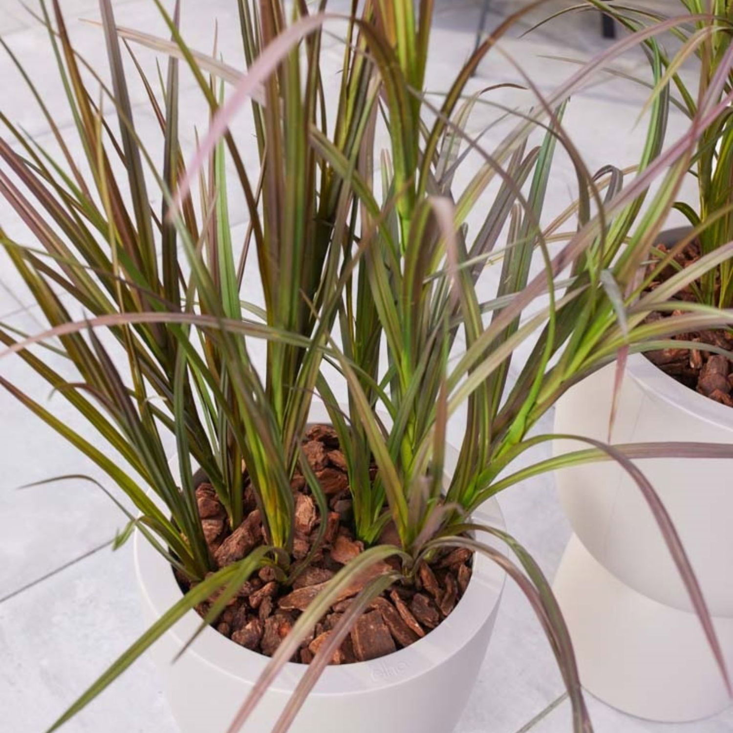 Künstliche Pflanze mit langen, schmalen Blättern in Grün und Rot, in einem schwarzen Blumentopf.