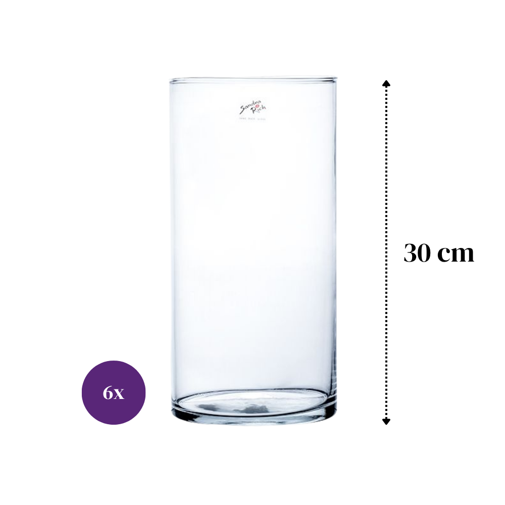 6er SET Glasvasen, Dekogläser CYLI H. 30cm D. 15cm Glas zylindrisch Sandra Rich