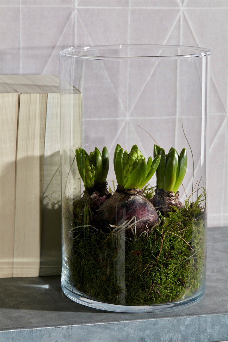 Dekoglas, Glasvase Zylinder H. 25cm D. 18cm transparent rund Glas