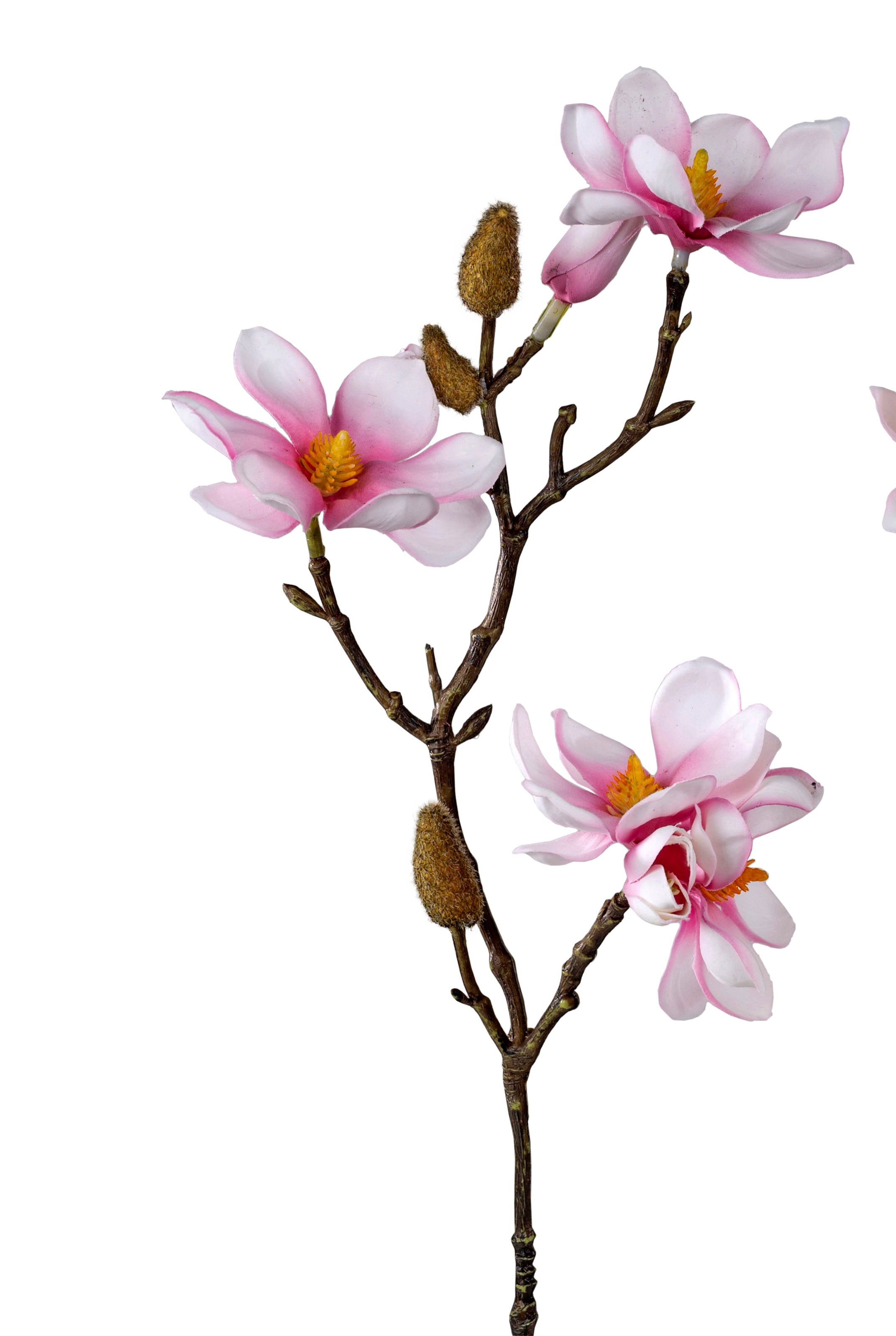 künstlicher Magnolienzweig weiß pink Höhe 38cm von FORMANO Kunstblumen