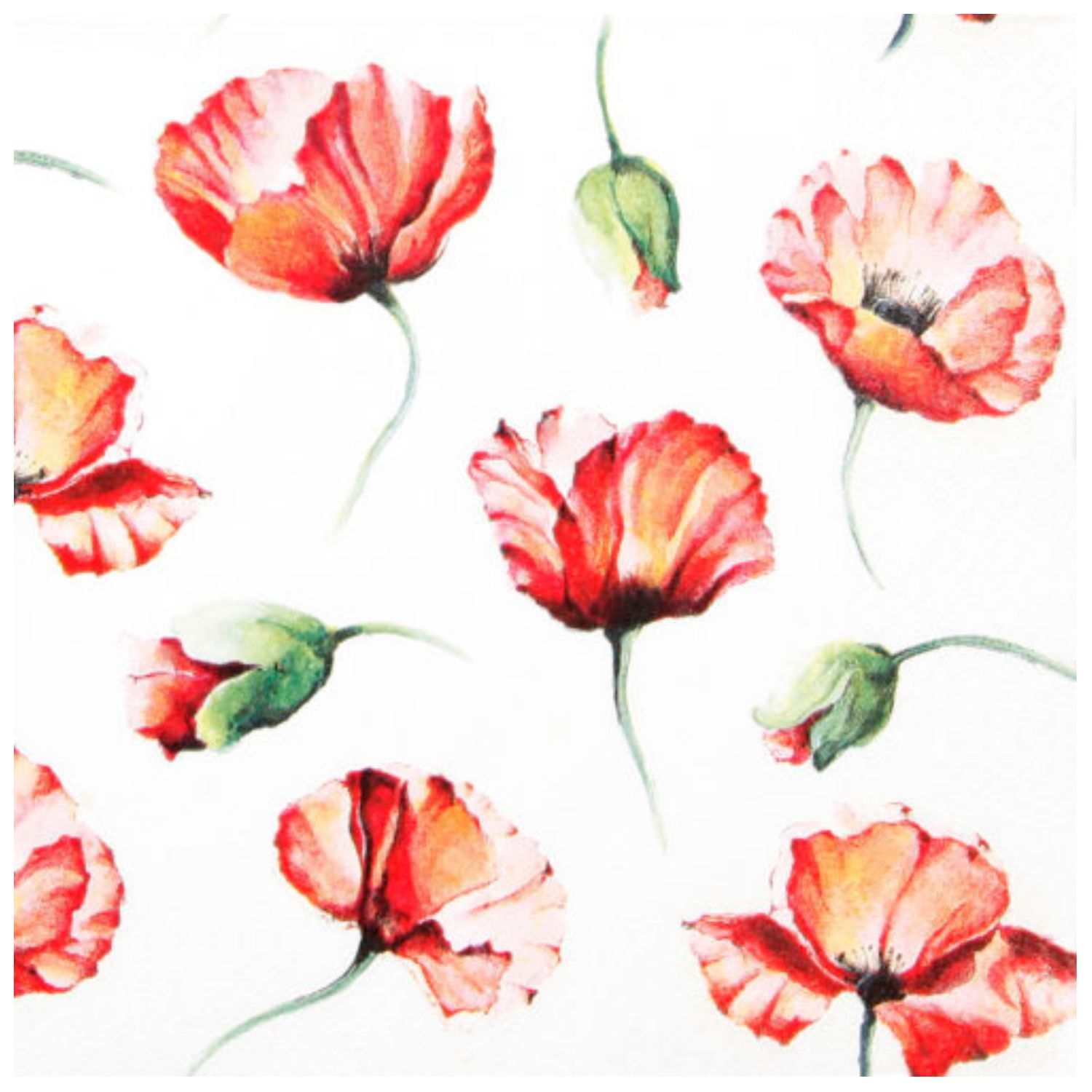 Muster mit roten Mohnblumen und Knospen auf weißem Hintergrund. Blumen in verschiedenen Positionen und Größen angeordnet.