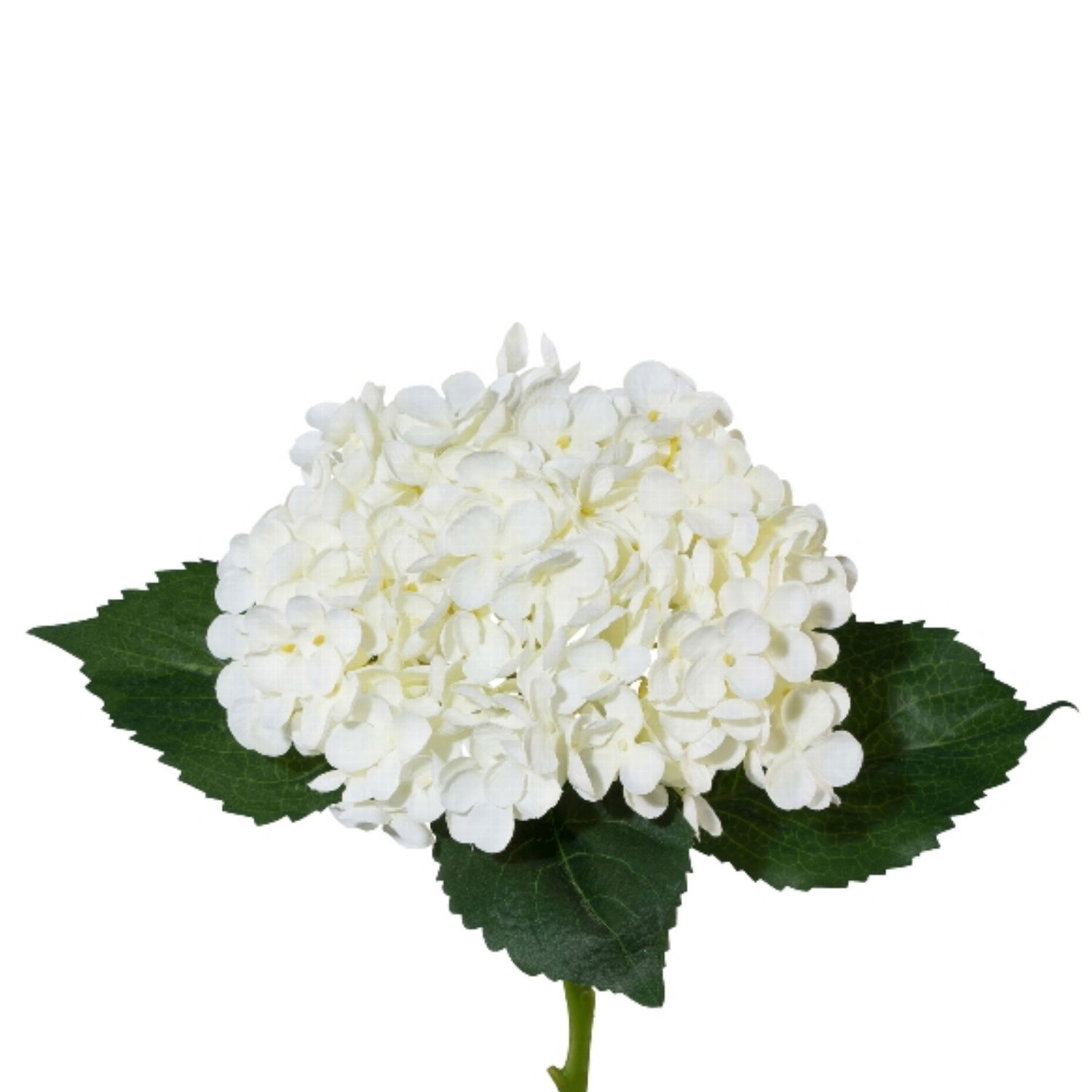 künstliche Hortensie weiß Höhe 53cm,Durchmesser ca. 17cm von GASPER Kunstblume