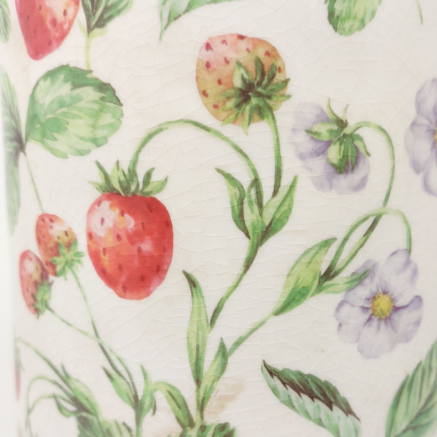 Illustration von Erdbeeren mit Blättern und zarten violetten Blüten auf hellem Hintergrund