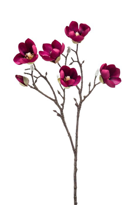 kleiner blumenkasten Holsteiner Blumenkasten aus Massivholz – Single Variante - main image 0