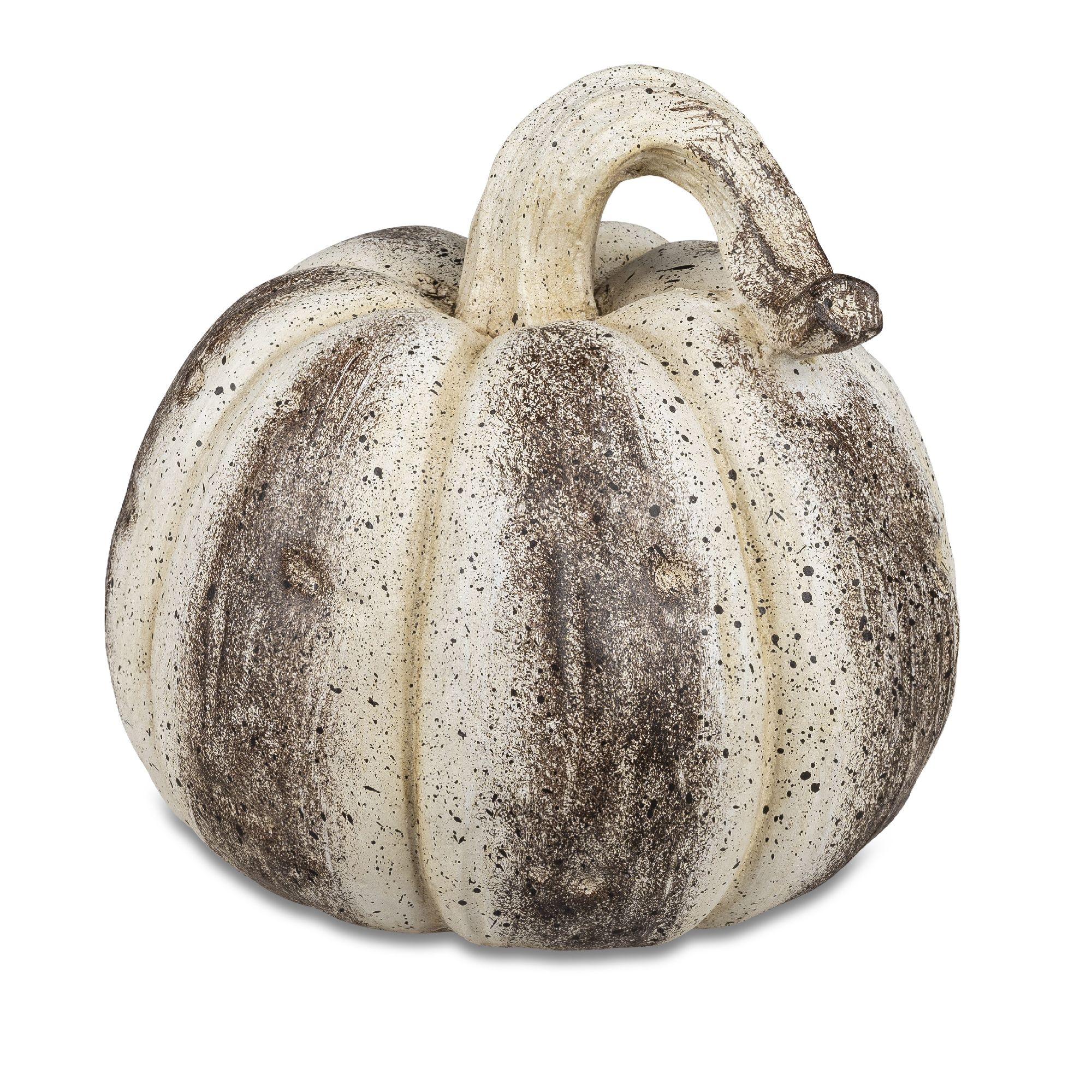 Ein runder, weißer Kürbis mit braunen Sprenkeln und einem geschwungenen Stiel.