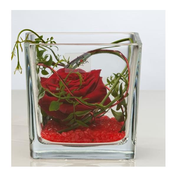 Ein quadratischer Glasbehälter mit einer roten Rose, umgeben von grünen Pflanzen und rotem Dekoratio