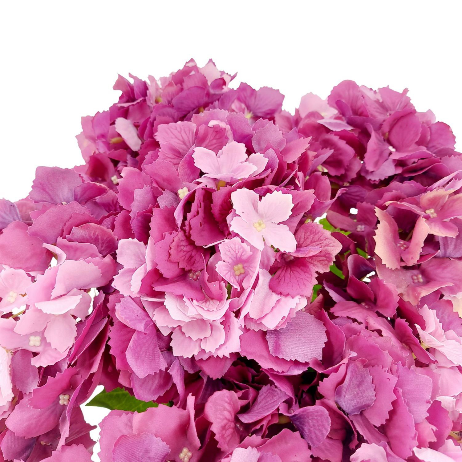 Bunte Blüten in verschiedenen Rosa- und Lilatönen, dicht angeordnet