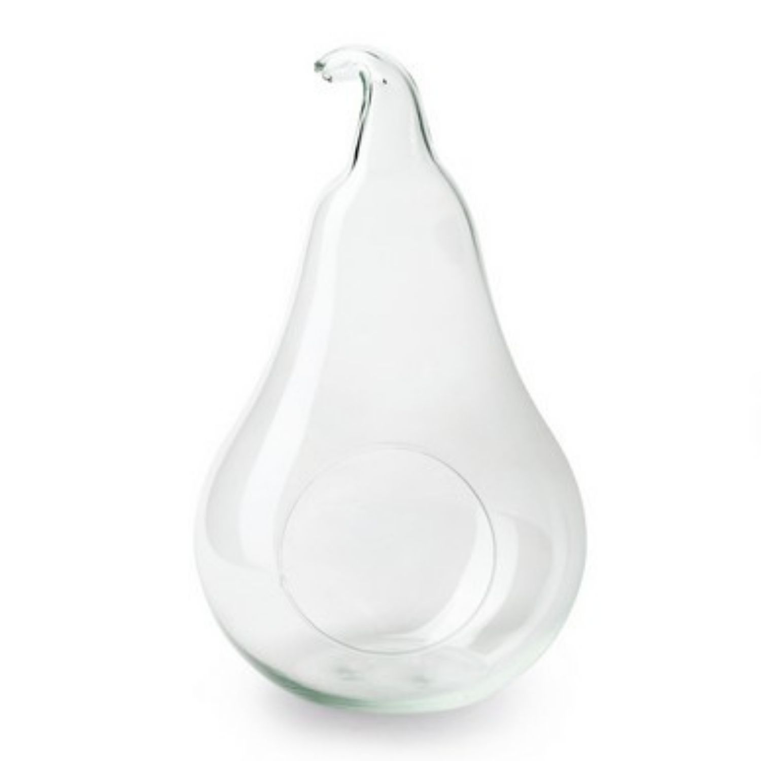 Glasschale, Terrarium Glas Birne H. 30cm D. 16cm transparent Hakbijl