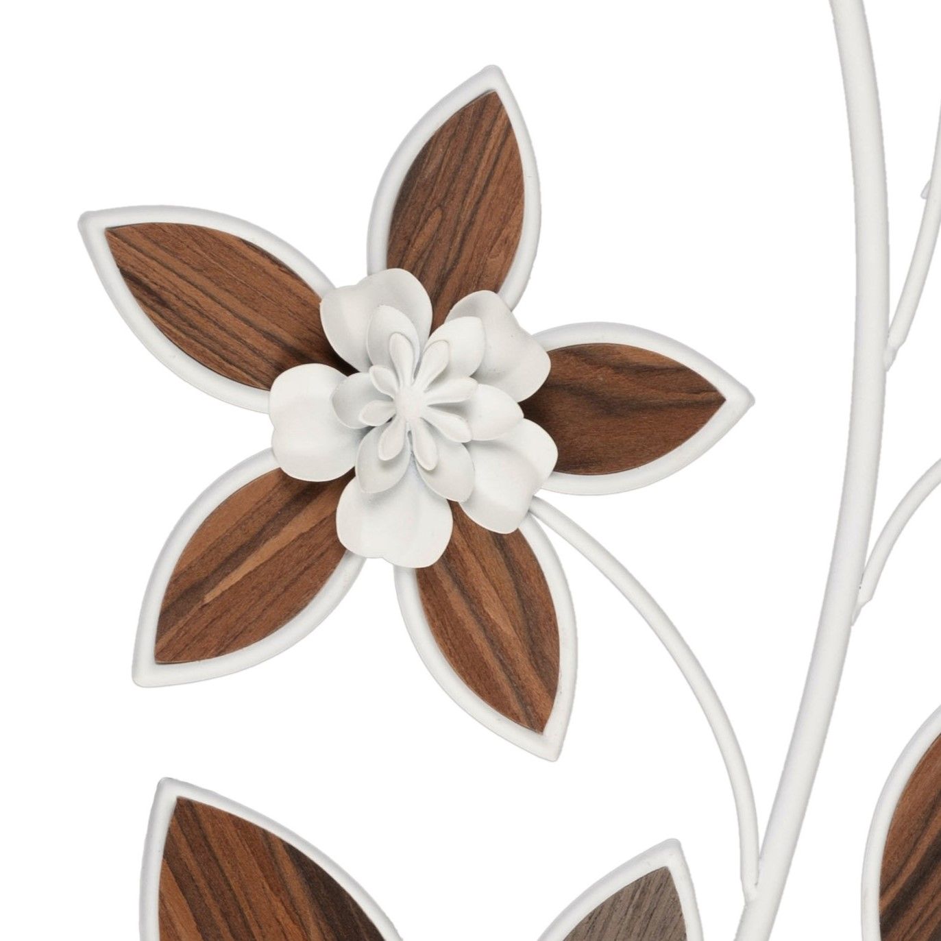 Dekorative Blume mit weißen und braunen Blütenblättern, die an einem geschwungenen Stängel angeordnet sind.