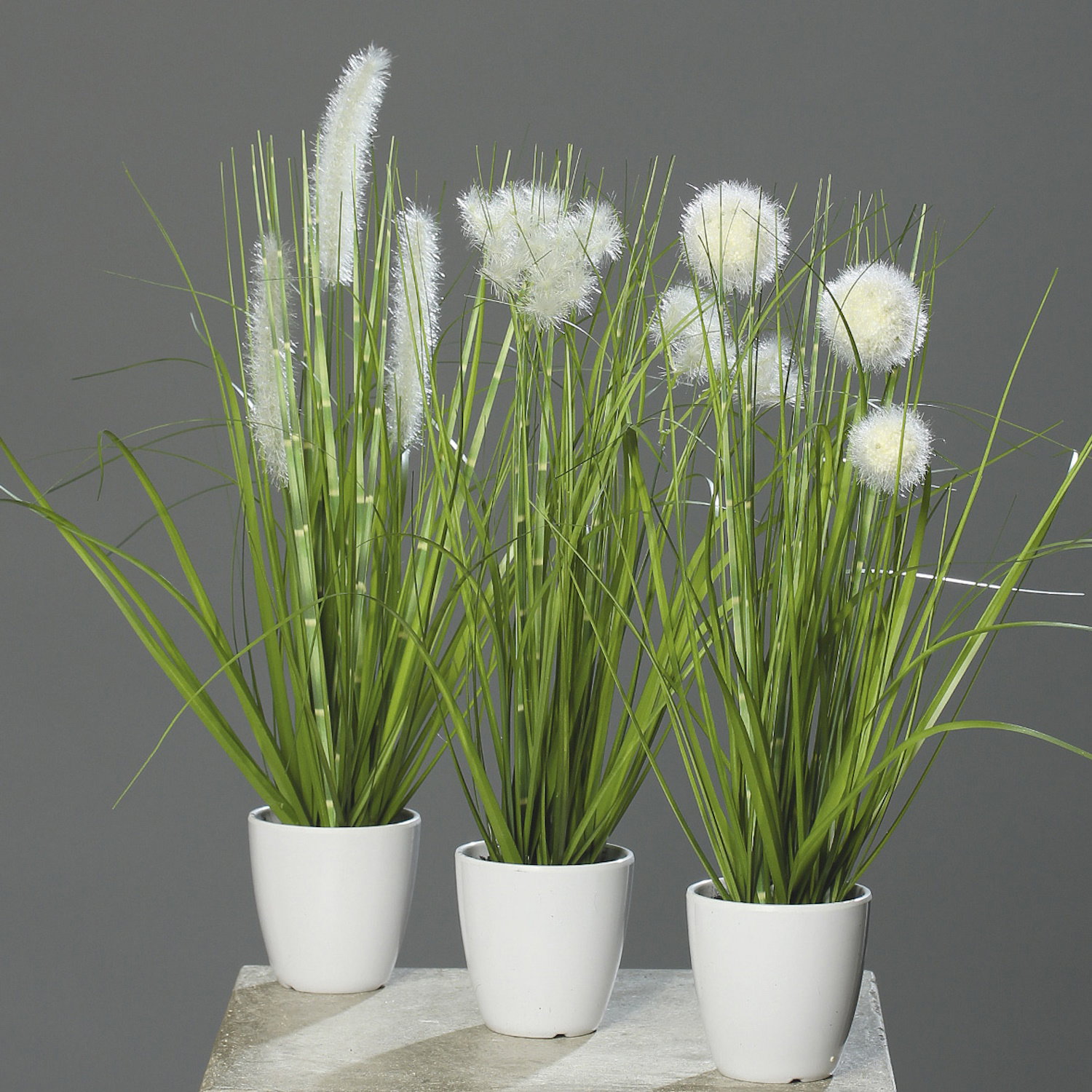 3er Set künstliche Gräser im Topf H. 36cm D. 7cm grün creme DPI Kunstblumen