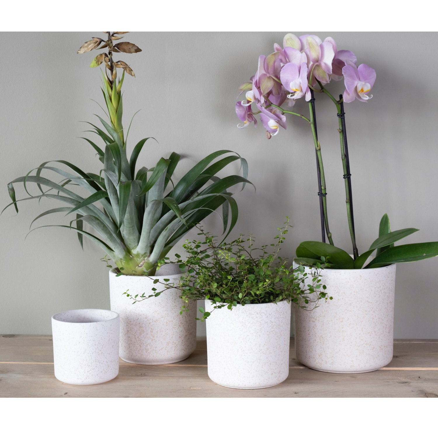 Keramik Blumentopf, Übertopf weiß gesprenkelt H. 15cm D. 15cm Hakbijl WA