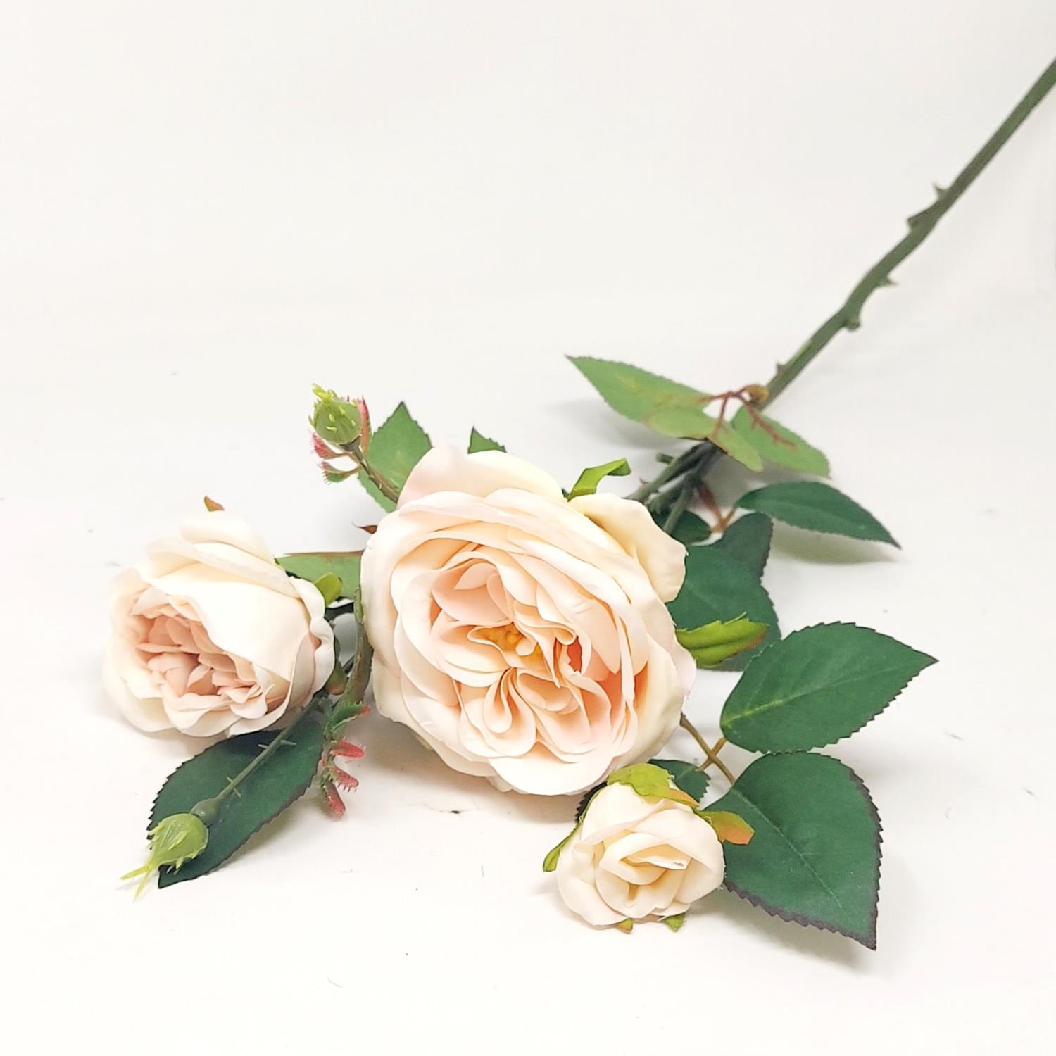 Drei zarte, cremefarbene Rosen mit grünen Blättern auf einem hellen Hintergrund. Eine Rose ist kleiner als die anderen.