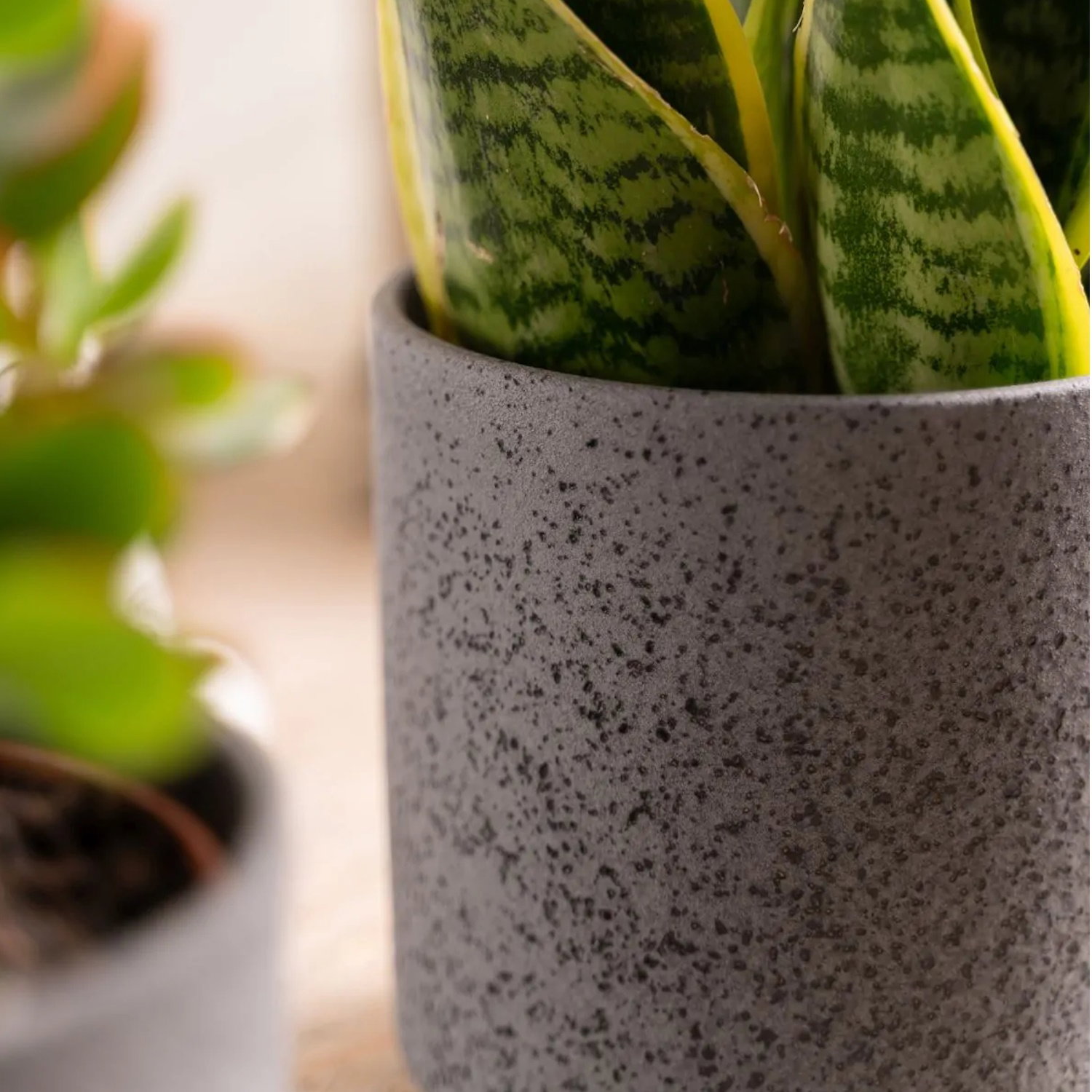 Keramik Blumentopf, Übertopf schwarz gesprenkelt H. 13cm D. 13cm Hakbijl WA