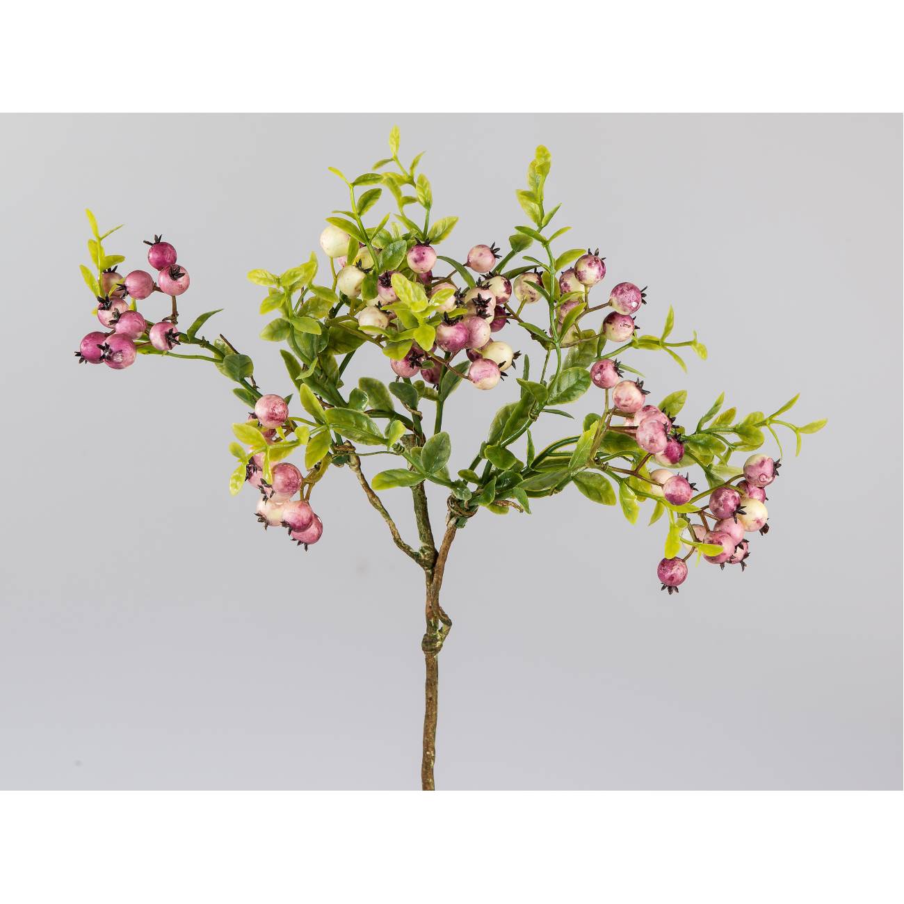 Zweig mit grünen Blättern und rosa-weißen Beeren, auf grauem Hintergrund.